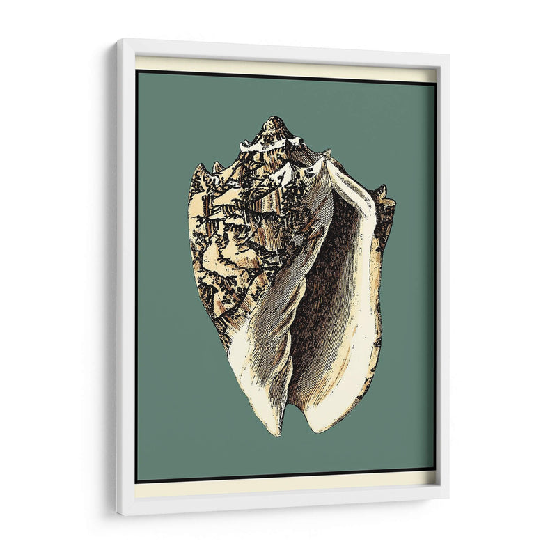 Oceans Treasure I - Vision Studio | Cuadro decorativo de Canvas Lab