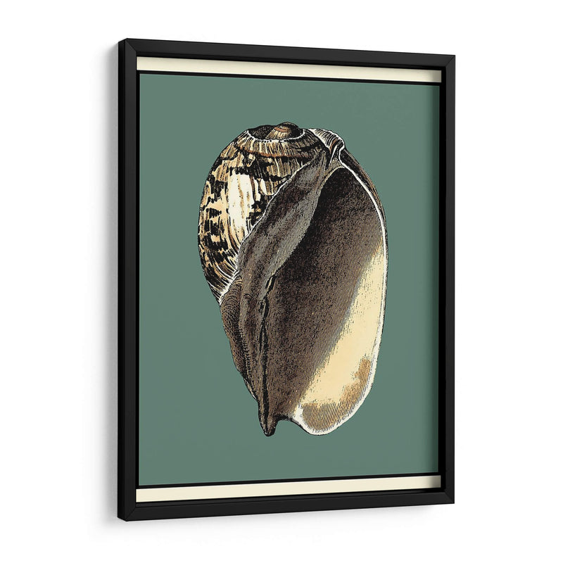 Oceans Treasure Ii - Vision Studio | Cuadro decorativo de Canvas Lab