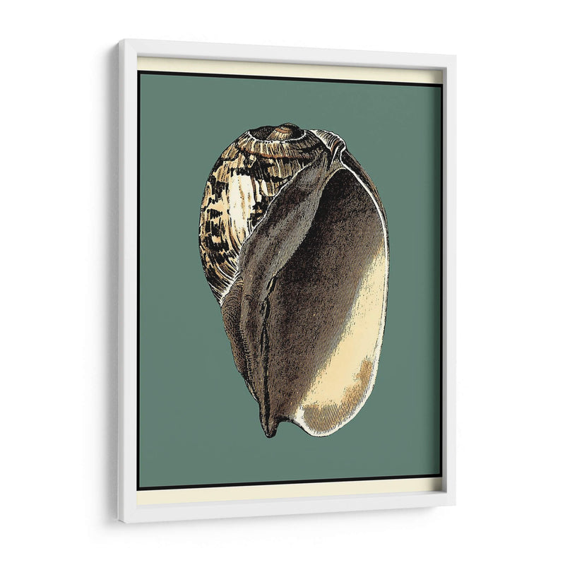 Oceans Treasure Ii - Vision Studio | Cuadro decorativo de Canvas Lab