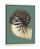 Oceans Treasure Iii - Vision Studio | Cuadro decorativo de Canvas Lab