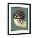 Oceans Treasure Iii - Vision Studio | Cuadro decorativo de Canvas Lab