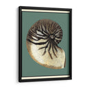 Oceans Treasure Iii - Vision Studio | Cuadro decorativo de Canvas Lab