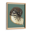 Oceans Treasure Iii - Vision Studio | Cuadro decorativo de Canvas Lab
