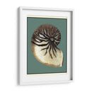 Oceans Treasure Iii - Vision Studio | Cuadro decorativo de Canvas Lab