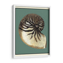 Oceans Treasure Iii - Vision Studio | Cuadro decorativo de Canvas Lab