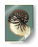 Oceans Treasure Iii - Vision Studio | Cuadro decorativo de Canvas Lab