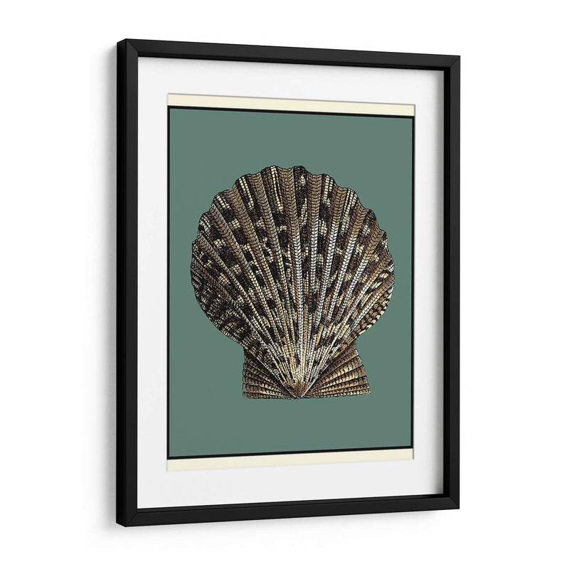 Oceans Treasure Iv - Vision Studio | Cuadro decorativo de Canvas Lab