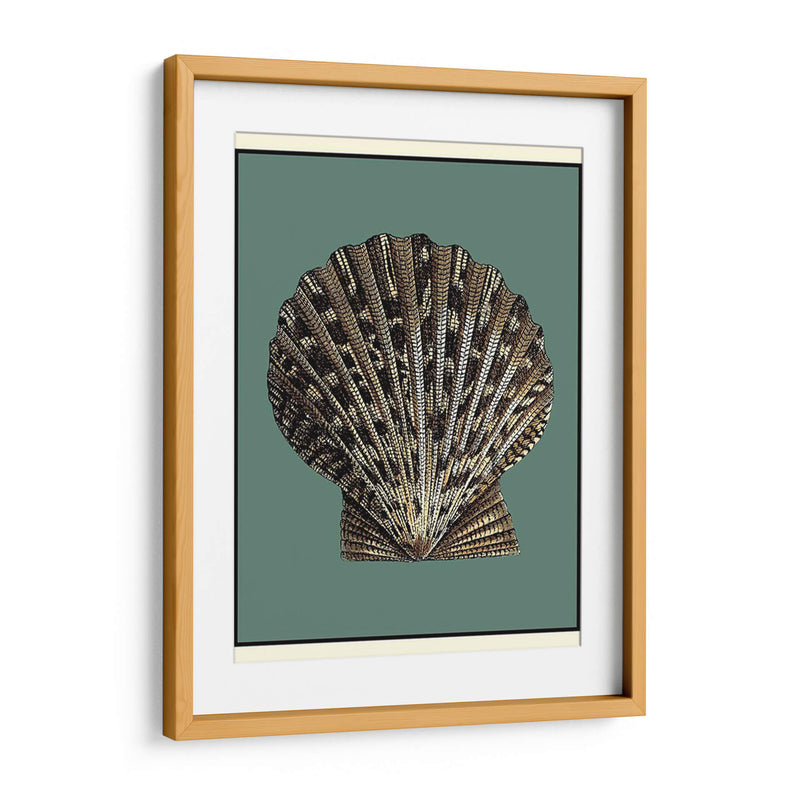 Oceans Treasure Iv - Vision Studio | Cuadro decorativo de Canvas Lab