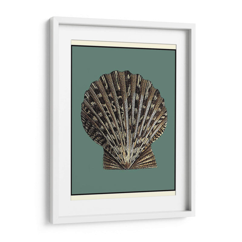 Oceans Treasure Iv - Vision Studio | Cuadro decorativo de Canvas Lab