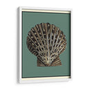 Oceans Treasure Iv - Vision Studio | Cuadro decorativo de Canvas Lab