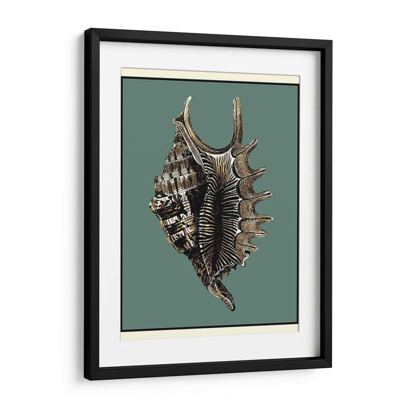 Oceans Treasure V - Vision Studio | Cuadro decorativo de Canvas Lab