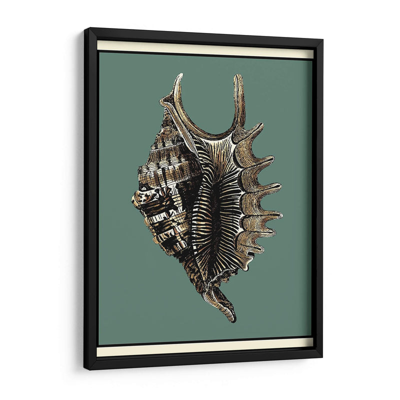 Oceans Treasure V - Vision Studio | Cuadro decorativo de Canvas Lab