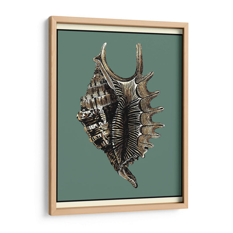 Oceans Treasure V - Vision Studio | Cuadro decorativo de Canvas Lab