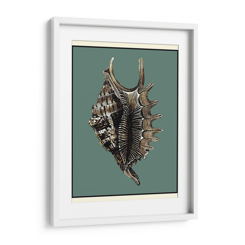 Oceans Treasure V - Vision Studio | Cuadro decorativo de Canvas Lab