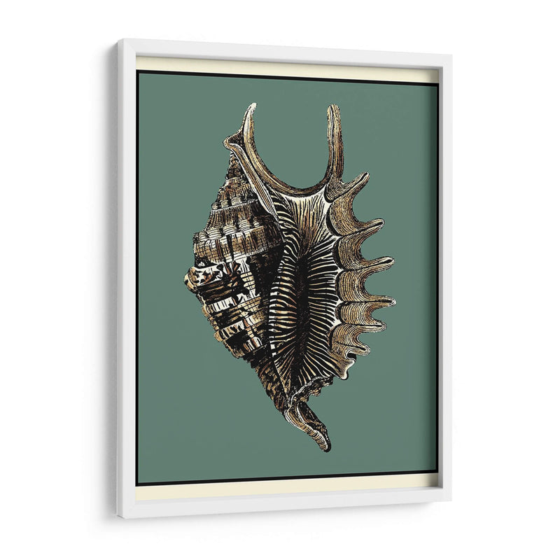 Oceans Treasure V - Vision Studio | Cuadro decorativo de Canvas Lab