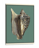 Oceans Treasure Vi - Vision Studio | Cuadro decorativo de Canvas Lab