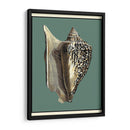 Oceans Treasure Vi - Vision Studio | Cuadro decorativo de Canvas Lab