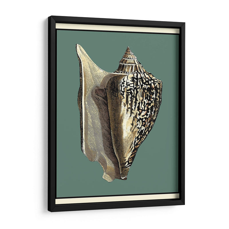 Oceans Treasure Vi - Vision Studio | Cuadro decorativo de Canvas Lab