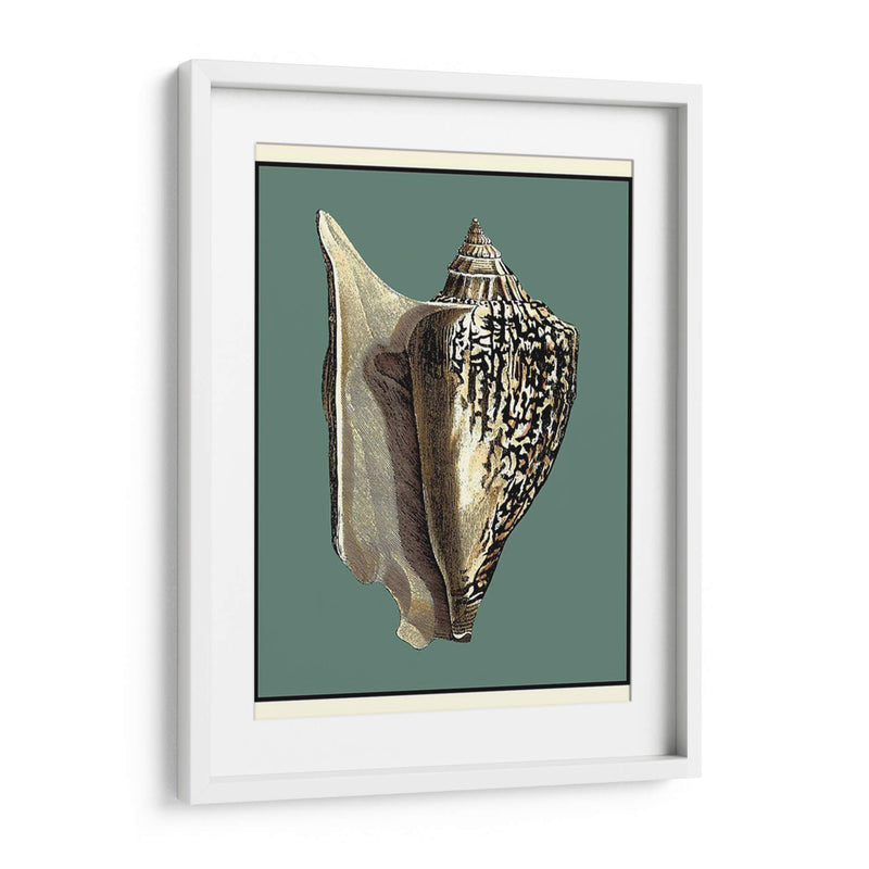 Oceans Treasure Vi - Vision Studio | Cuadro decorativo de Canvas Lab