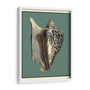 Oceans Treasure Vi - Vision Studio | Cuadro decorativo de Canvas Lab