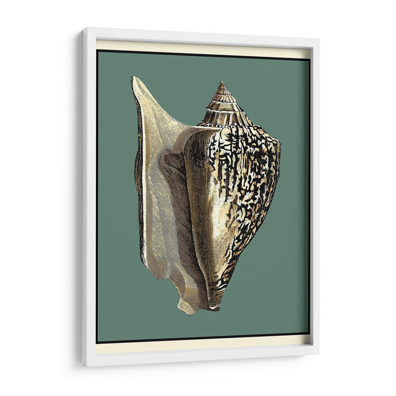 Oceans Treasure Vi - Vision Studio | Cuadro decorativo de Canvas Lab