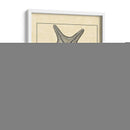 Antiqueanddeckle Vintage Starfish Ii - Vision Studio | Cuadro decorativo de Canvas Lab