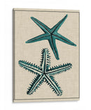 Estrella Costera I - Vision Studio | Cuadro decorativo de Canvas Lab