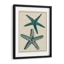 Estrella Costera I - Vision Studio | Cuadro decorativo de Canvas Lab