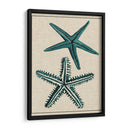 Estrella Costera I - Vision Studio | Cuadro decorativo de Canvas Lab