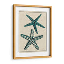 Estrella Costera I - Vision Studio | Cuadro decorativo de Canvas Lab