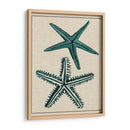 Estrella Costera I - Vision Studio | Cuadro decorativo de Canvas Lab