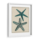 Estrella Costera I - Vision Studio | Cuadro decorativo de Canvas Lab
