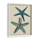 Estrella Costera I - Vision Studio | Cuadro decorativo de Canvas Lab