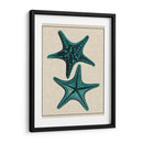Estrella Costera Ii - Vision Studio | Cuadro decorativo de Canvas Lab