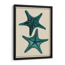 Estrella Costera Ii - Vision Studio | Cuadro decorativo de Canvas Lab