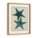 Estrella Costera Ii - Vision Studio | Cuadro decorativo de Canvas Lab