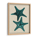 Estrella Costera Ii - Vision Studio | Cuadro decorativo de Canvas Lab