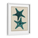 Estrella Costera Ii - Vision Studio | Cuadro decorativo de Canvas Lab