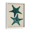 Estrella Costera Ii - Vision Studio | Cuadro decorativo de Canvas Lab