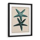 Starfish Costero Iii - Vision Studio | Cuadro decorativo de Canvas Lab