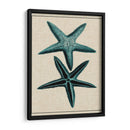 Starfish Costero Iii - Vision Studio | Cuadro decorativo de Canvas Lab