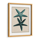 Starfish Costero Iii - Vision Studio | Cuadro decorativo de Canvas Lab