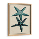 Starfish Costero Iii - Vision Studio | Cuadro decorativo de Canvas Lab