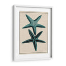 Starfish Costero Iii - Vision Studio | Cuadro decorativo de Canvas Lab
