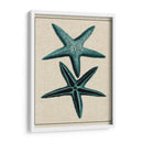 Starfish Costero Iii - Vision Studio | Cuadro decorativo de Canvas Lab