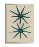 Estrella Costera Iv - Vision Studio | Cuadro decorativo de Canvas Lab