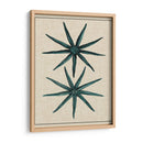Estrella Costera Iv - Vision Studio | Cuadro decorativo de Canvas Lab