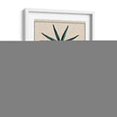 Estrella Costera Iv - Vision Studio | Cuadro decorativo de Canvas Lab