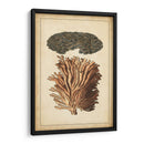 Compañero De Coral I - Vision Studio | Cuadro decorativo de Canvas Lab
