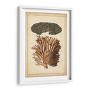 Compañero De Coral I - Vision Studio | Cuadro decorativo de Canvas Lab